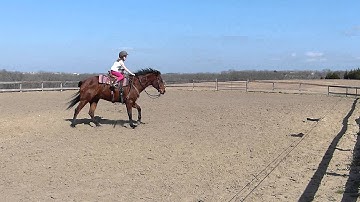 Cuttin Up The Acres - riding lesson - working the flag -  Valley View Ranch