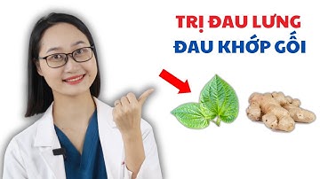 Tiết Lộ Bài Thuốc Quý Trị Đau Khớp Gối, Đau Lưng, Thoái Hoá Khớp, Viêm Khớp Dạng Thấp  | Dược Sĩ Lan