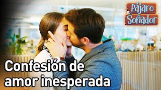 Confesión de amor inesperada | Pájaro soñador | ( Español) Erkenci Kus Resimi