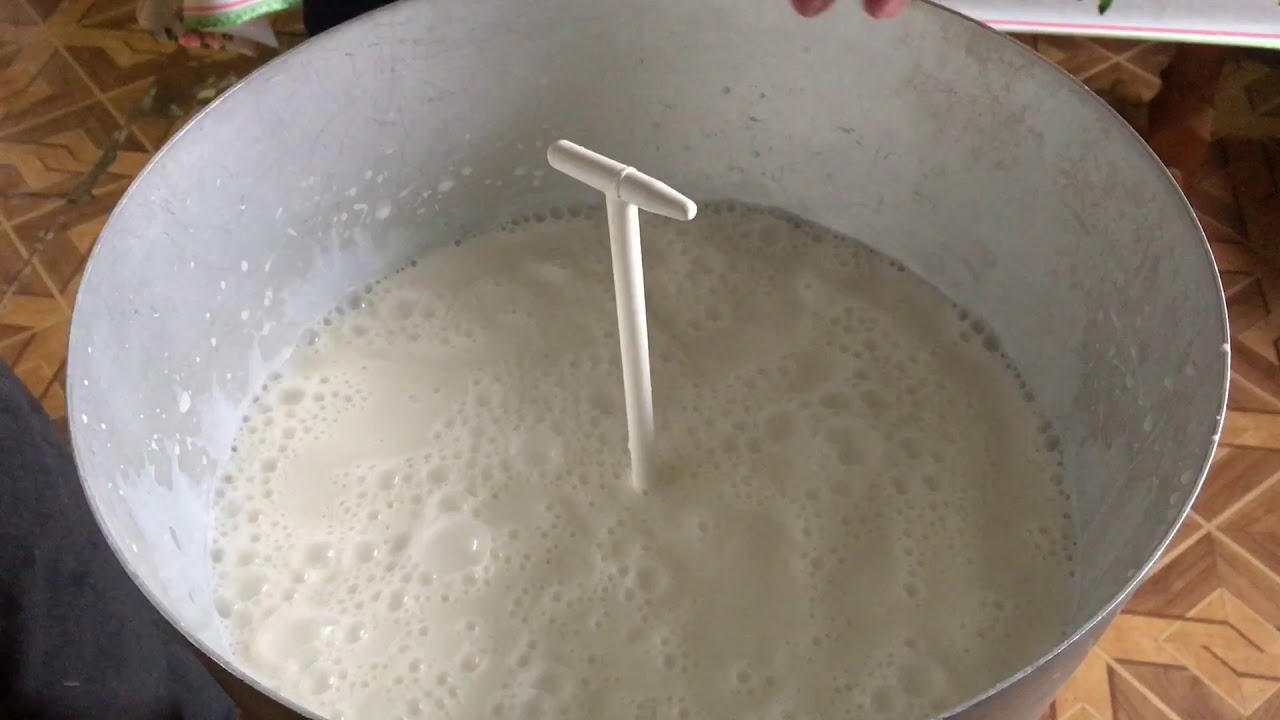 КАК ДЕЛАЮТ ДОМАШНЮЮ СМЕТАНУ - YouTube