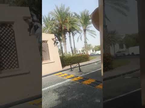 شنشور اشمون المنوفيه