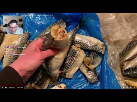 СМОТРИМ с чатом: ОПАСНАЯ ДЕГУСТАЦИЯ | ПРОВЕРЯЮ СЕБЯ НА ПРОЧНОСТЬ
