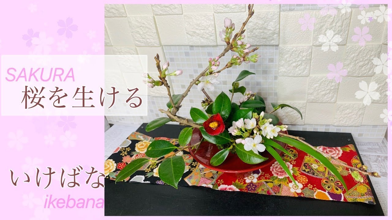 桜 ソメイヨシノ をお部屋で楽しむ 桜の生け花 簡単いけばな春の花 Youtube