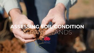 Assessing soil condition in rangelands