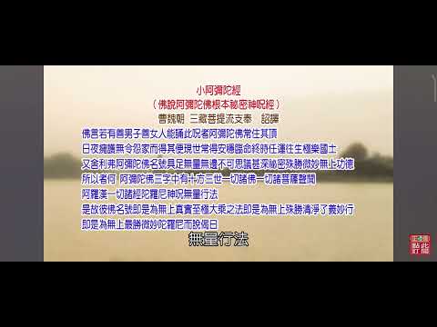 南無 阿彌陀佛 歡喜心念佛蓮品高常律和尚法語每月領薪後佈施一百元給弱勢族群得生天人法佈施功德利益最大處處出聲念佛一句佛號滅八十億劫重罪信佛念佛得生極樂了脫生死輪迴苦海愛❤️感恩感謝一切萬物南無阿彌陀佛