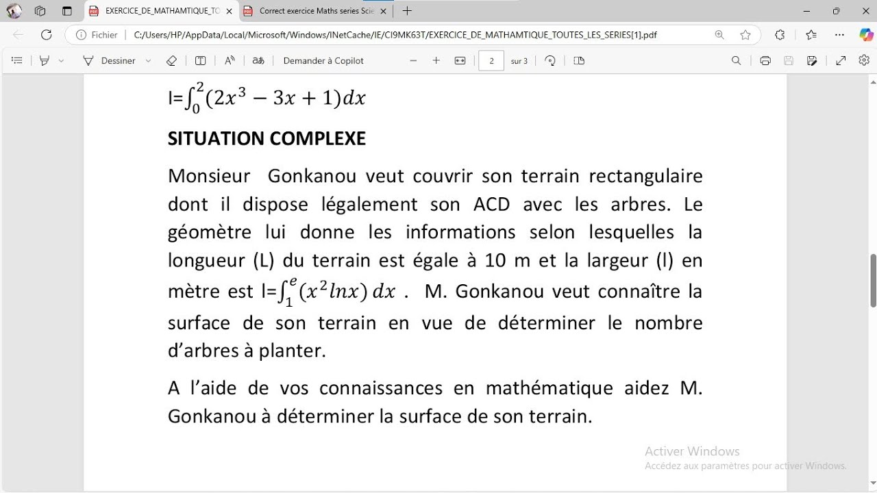 Exercice de Maths Type BAC sur intégrale et situations complexes - YouTube