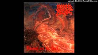 Morbid Angel-Blessed Are The Sick/ Leading The Rats