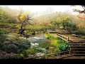 ???????-??????????2?? Nature  Music, Meditation Music, soothing music, Spa music, Relax Music