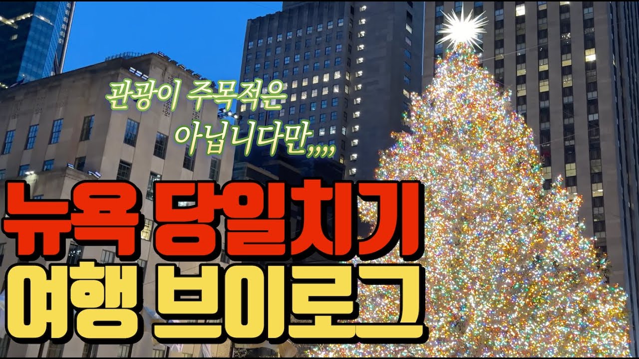 뉴욕여행 브이로그 🇺🇸 당일치기로 뉴욕 여행하기 | 뉴욕맛집 | Leon's Bagels | 이치란라멘 | Los Taco's | 오마카세 | 아임도넛 | 12 Matcha