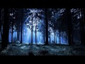Звуки ночного леса