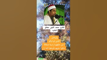 عملاق التلاوات الشيخ محمد الليثي