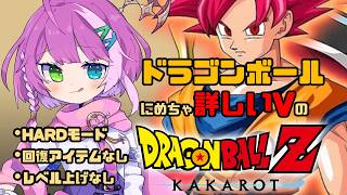 ドラゴンボール 】単行本にめちゃ詳しいVの新たなる覚醒（前編