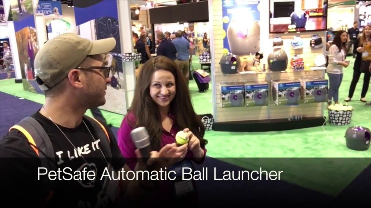 PetSafe Automatic Ball Launcher and Imagine This Company YouTube