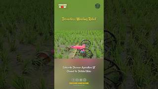 Driverless Paddy/Rice Field Weeding Robot