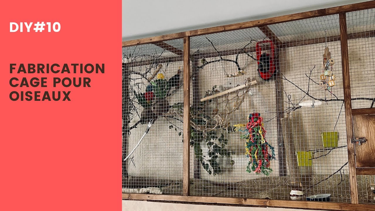 Comment fabriquer une cage en bois pour perroquets / conure / perruches / oiseaux , pas cher