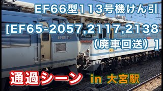 [EF65-2057,2117,2138（廃車回送）] EF66型113号機 EF65型2000番台×3をけん引して大宮駅を通過する 2022/04/30