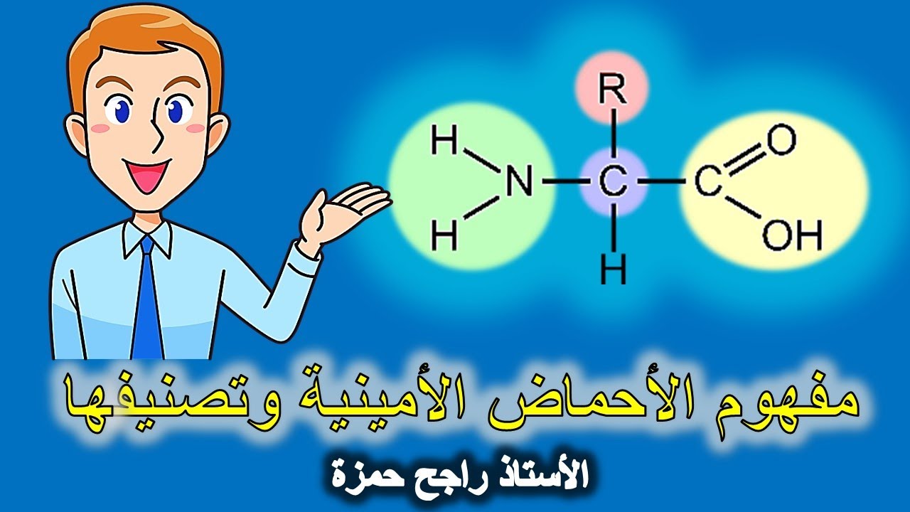 مفهوم الأحماض الأمينية