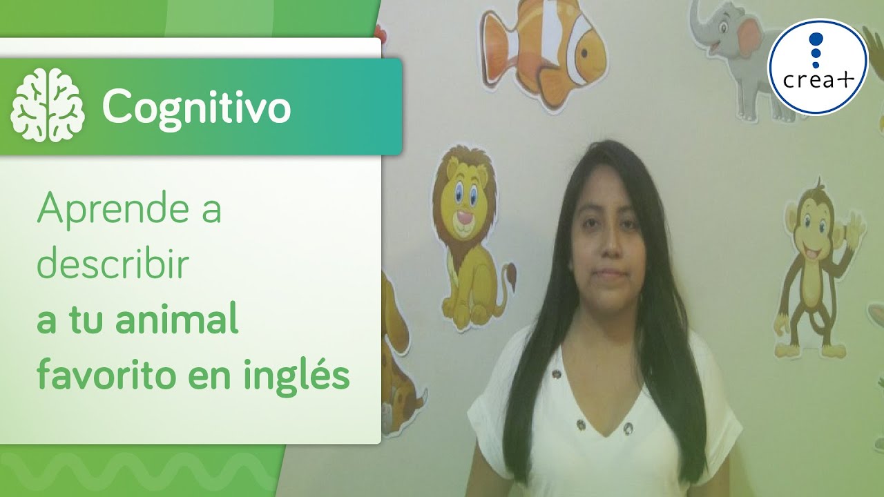 Crea+ Virtual: Aprende a describir a tu animal favorito en inglés - YouTube