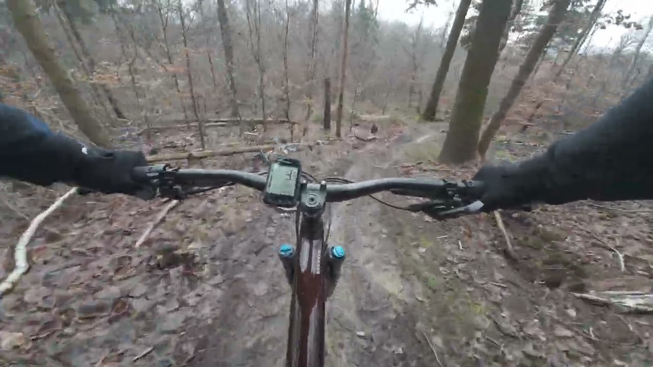 DJI 20260221131303 0004 D