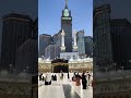 Hara Gumbad Jo Dakho Ga Zamana Bhul jawo g#short