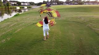 War Cry Spin Rod Flags