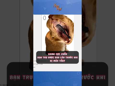 Relaxing Cat Grooming Game ASMR - Brush Jjaemu Itch io