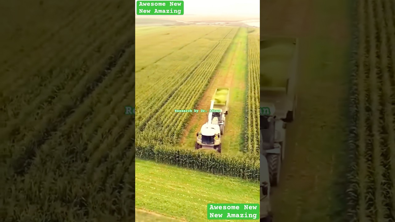 Fodder crop harvesting and chopping multipurpose heavy Agricultural machinery in China with quality