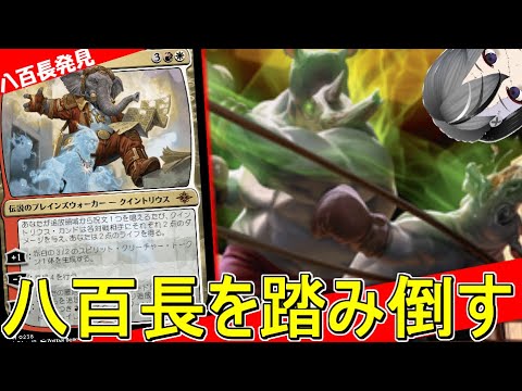 【MTGArena】踏み倒しで踏み倒しを踏み倒す！！八百長発見が楽しすぎる！！【カルロフ邸殺人事件】【スタンダード】