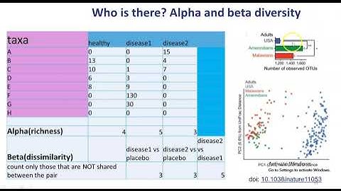Alpha and beta diversity (clearly explained)