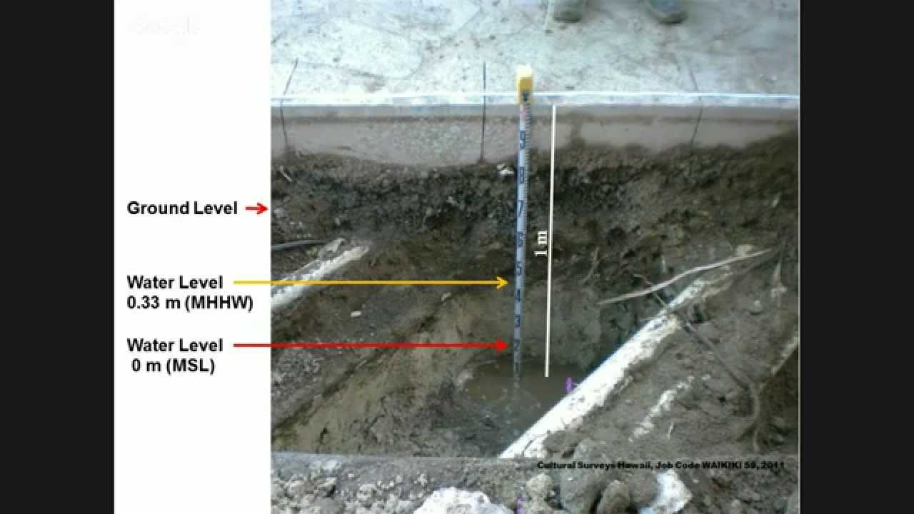 Sundays at the Bay - Science and Hawai'i Sea Grant Graduate Student Trainees