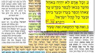 דף יומי- זבחים פג 83 חמישי כ״ב תמוז תשע״ח