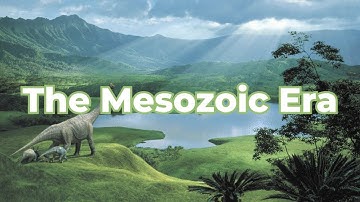 The Mesozoic Era