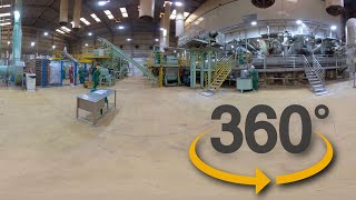 Virtual Reality 360° VR: Animal Rendering industries