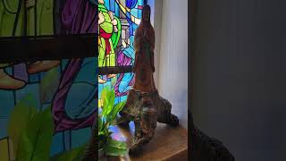 ✨ Sunday Mass at St Coleman Catholic Church – Pompano Beach, FL 10262025 ✨