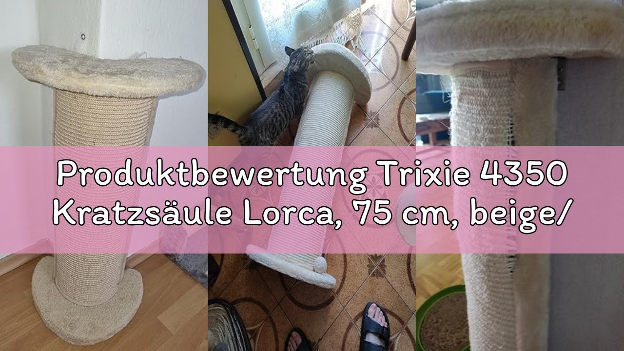 Produktbewertung Trixie 4350 Kratzsäule Lorca, 75 cm, beige/natur