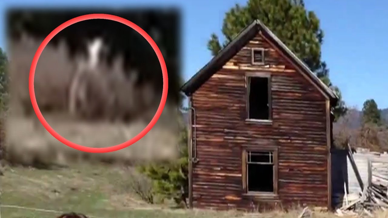 Windigo Sighting 2013 (Slender Man Like Creature) - YouTube