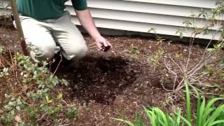 Why and How to Turn Mulch in Garden Landscape Beds