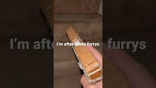 Cardboard g17 cqb rush