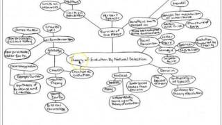 Concept/Cluster Mapping English 100