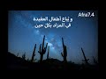 نشيد / ضجّ الأنين من ألبوم هموم أمة / تصميمي ❤️