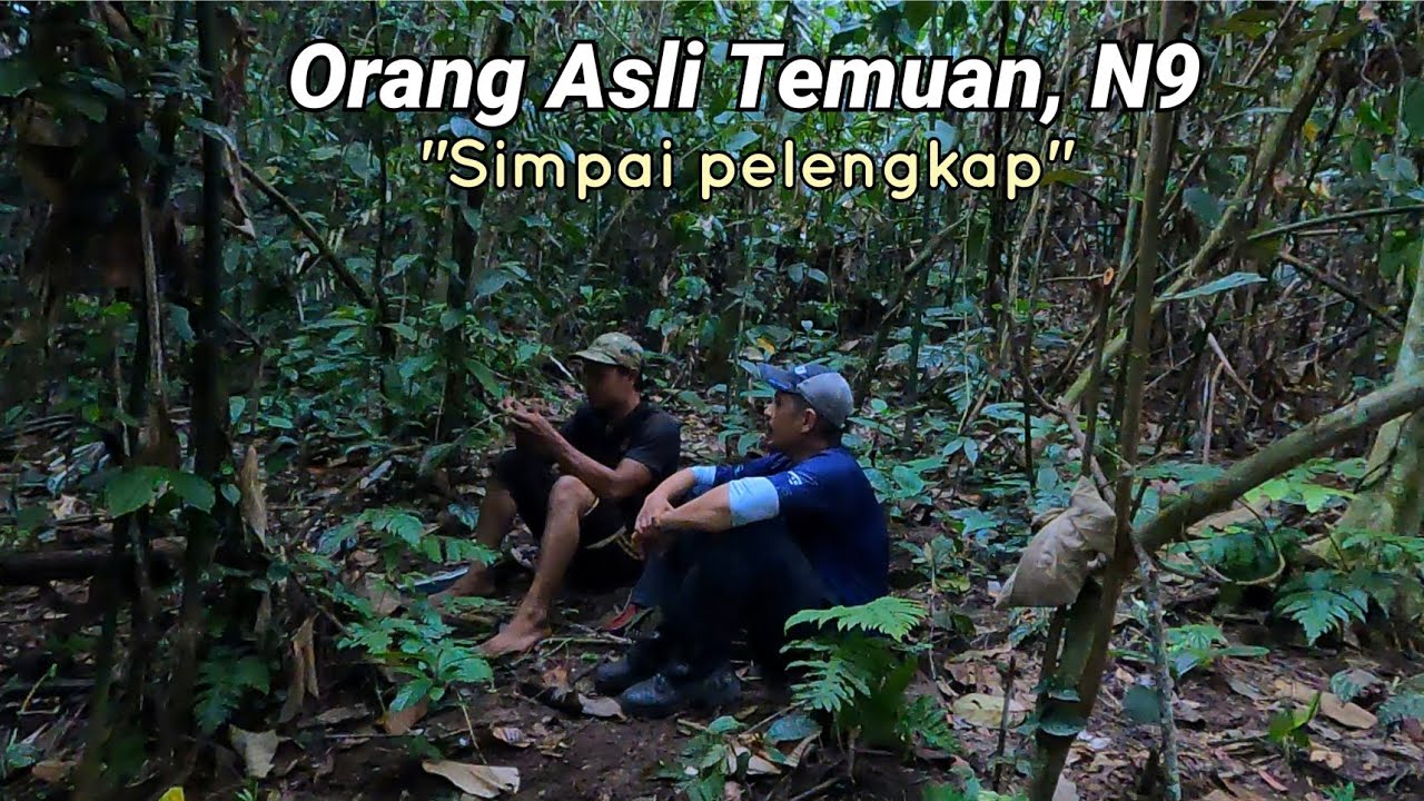Orang Asli Temuan, N9 | Simpai pelengkap.