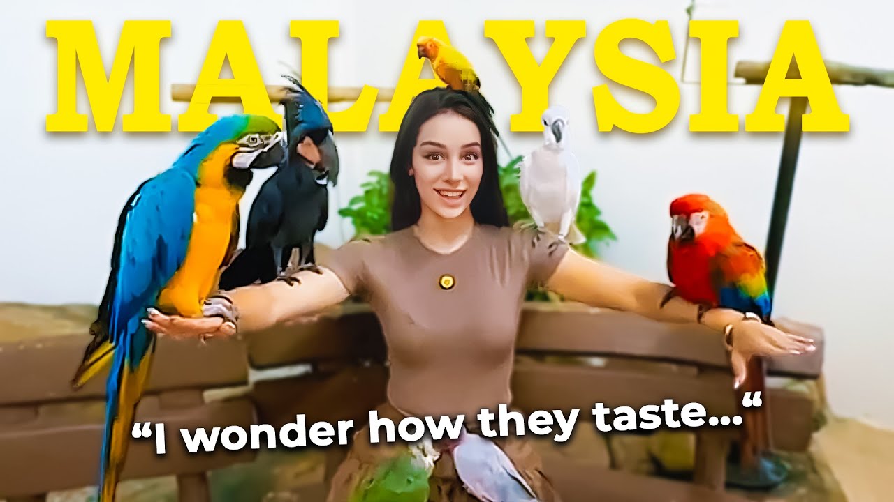Принцесса Диснея, но я жарю птиц в Малайзии 🇲🇾