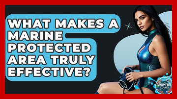 What Makes A Marine Protected Area Truly Effective? - The Marine Life Explorer