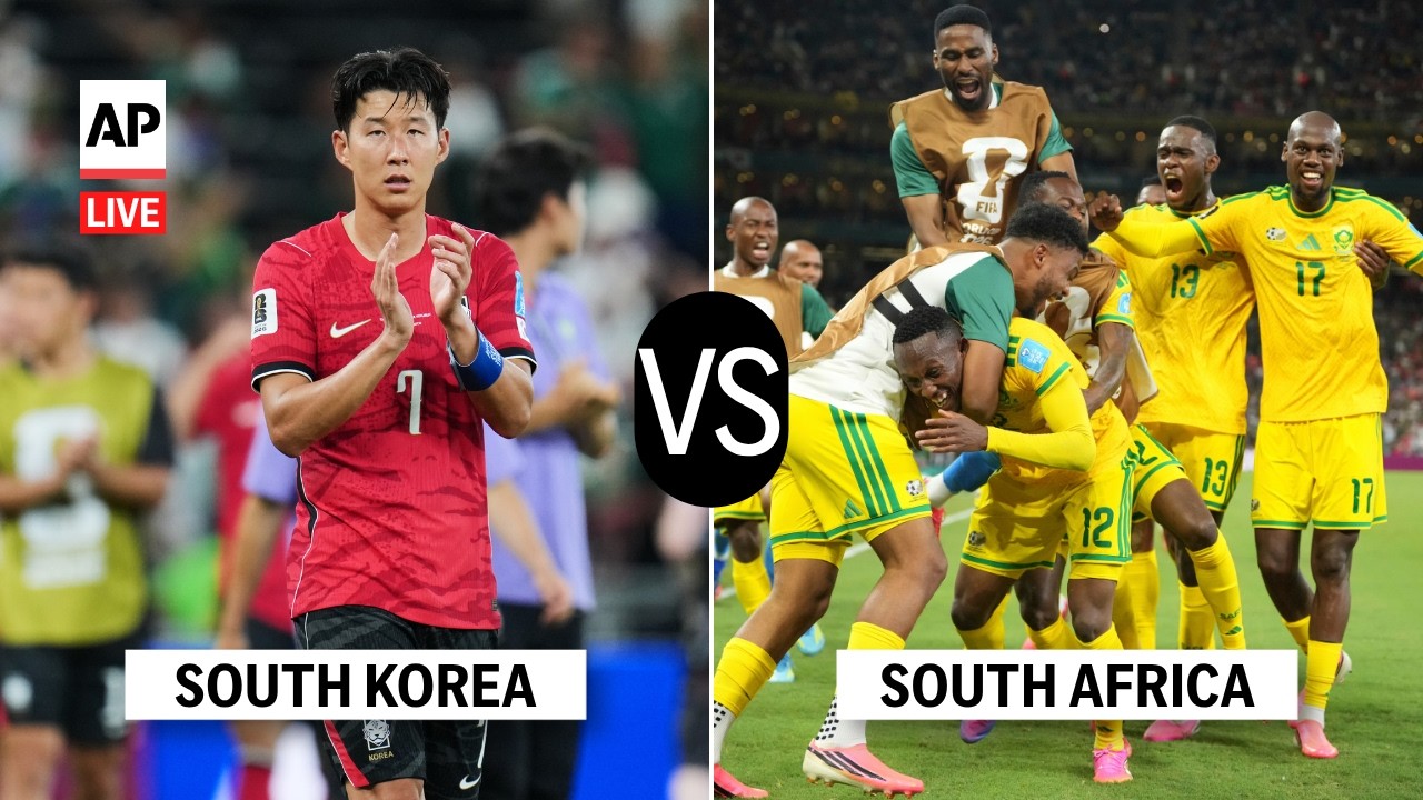 south africa vs south korea