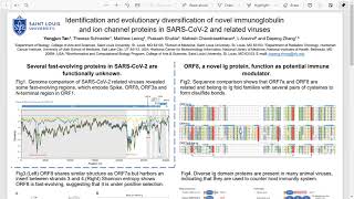 Identification and evolutionary... - Yongjun Tan - COVID-19 - Poster - ISMB/ECCB 2021