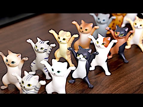 Dancing Cat Pen