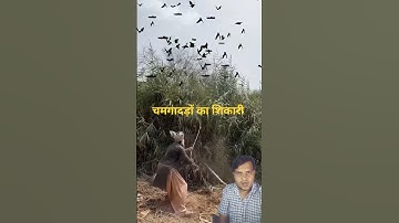 Mind-Blowing Gadgets and ToolsRevealed! 🚀 #shorts #gadgets245