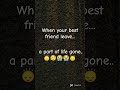 #when your friend leave you #music #lifeisbutadream #cricket #dogcompetitions