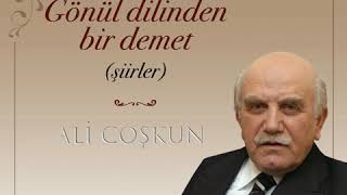 Ali Coşkun - Ağlayarak Resimi