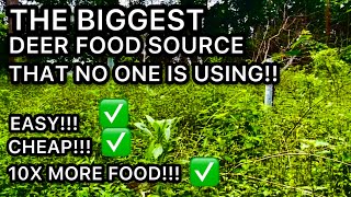 THE BIGGEST FOOD SOURCE FOR DEER WE ARENT TAKING ADVANTAGE OF   HD 1080p